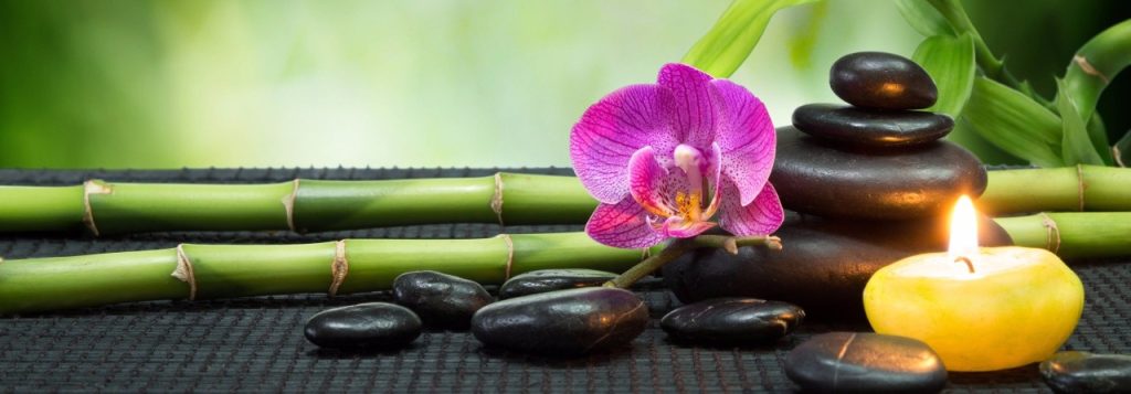 <meta name="google-site-verification" content="FvlWMofXKMHO7zKHfeIh3Lp97IgGPDMgetuOzLuPW7A" />